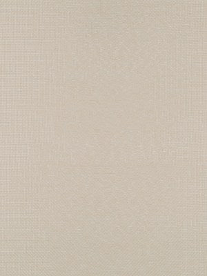 FLEET | CHAMPAGNE - Drapery - Fabric