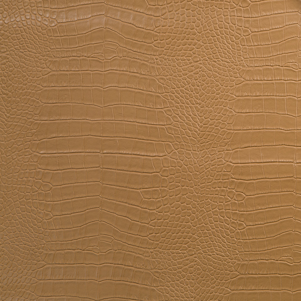 KING CROC | CAMEL