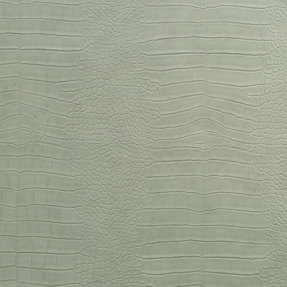 KING CROC | CELADON
