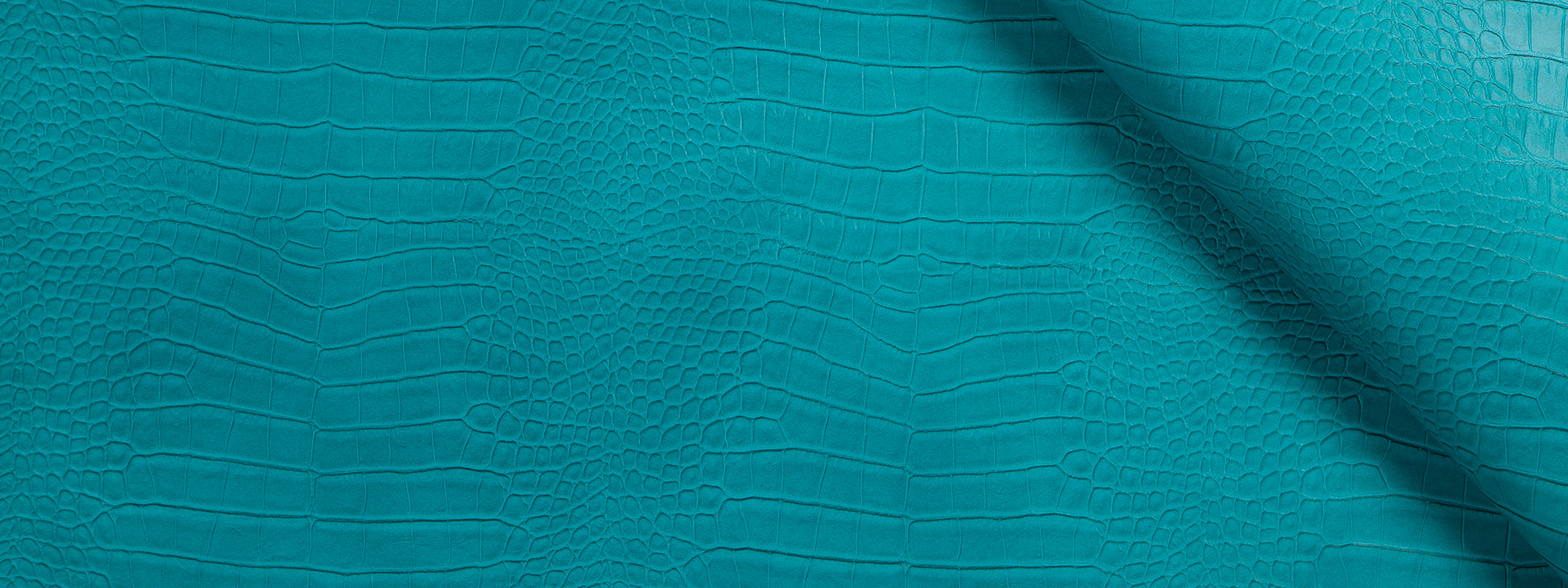 KING CROC | TURQUOISE