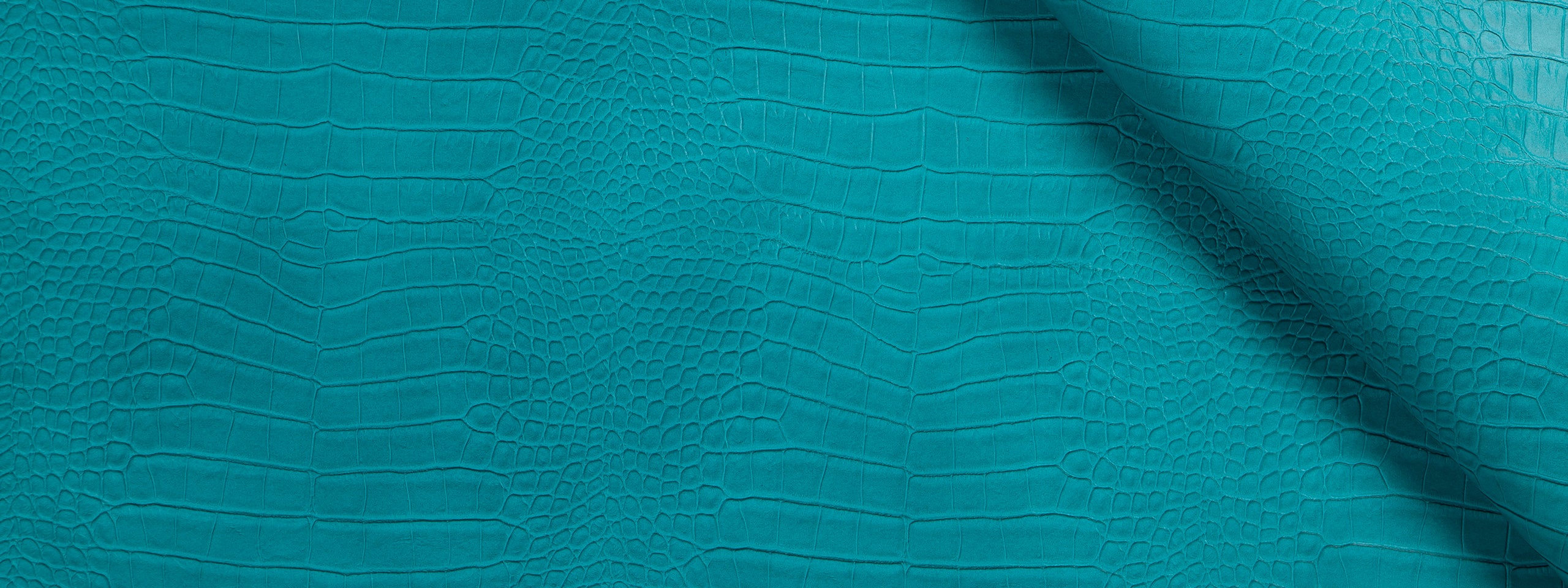 KING CROC | TURQUOISE