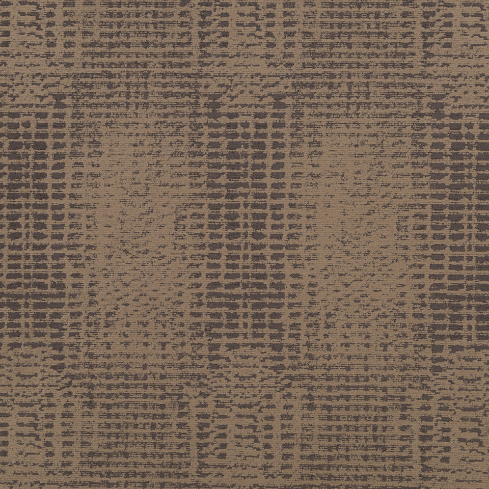 NAUTILUS | WALNUT