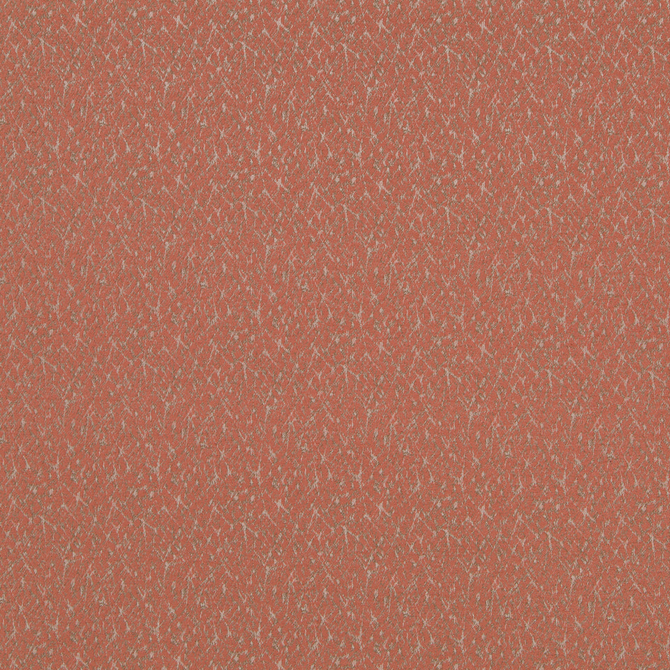 MICROCOSM | SALMON