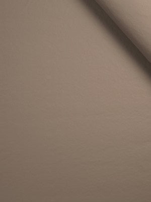 STEGOSAURUS | LATTE - Upholstery - Fabric