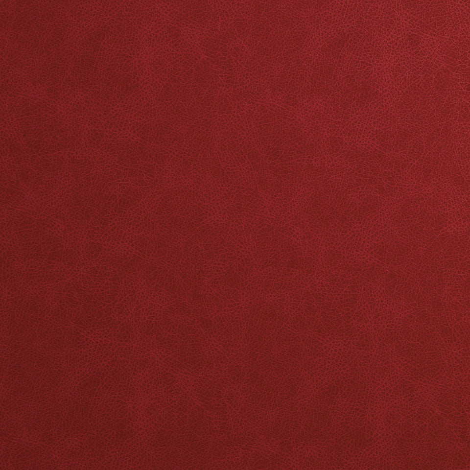 T REX | SCARLET