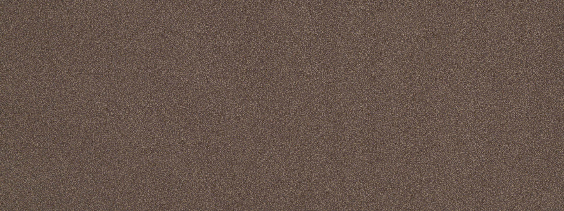 LANDING | MOCHA
