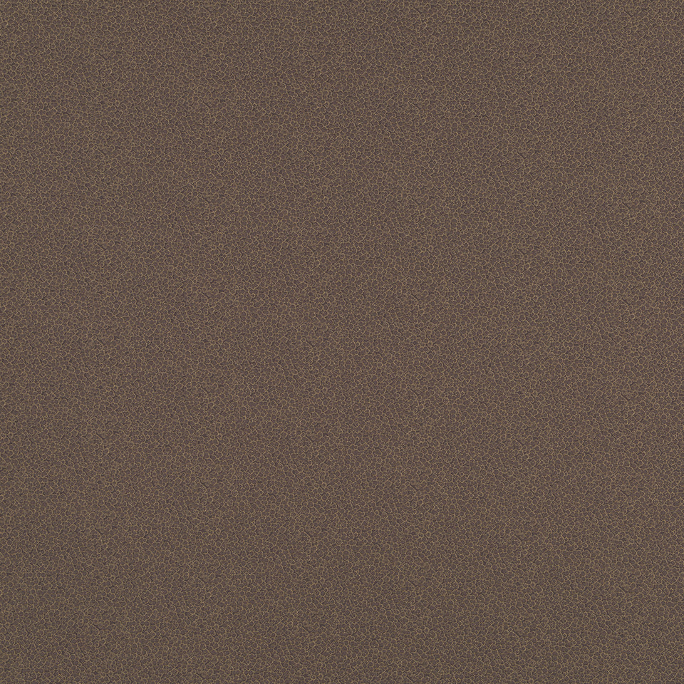LANDING | MOCHA