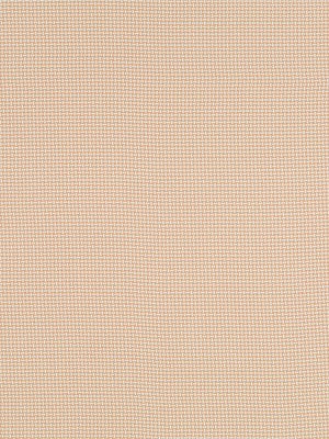 PETITE WEAVE | TEA