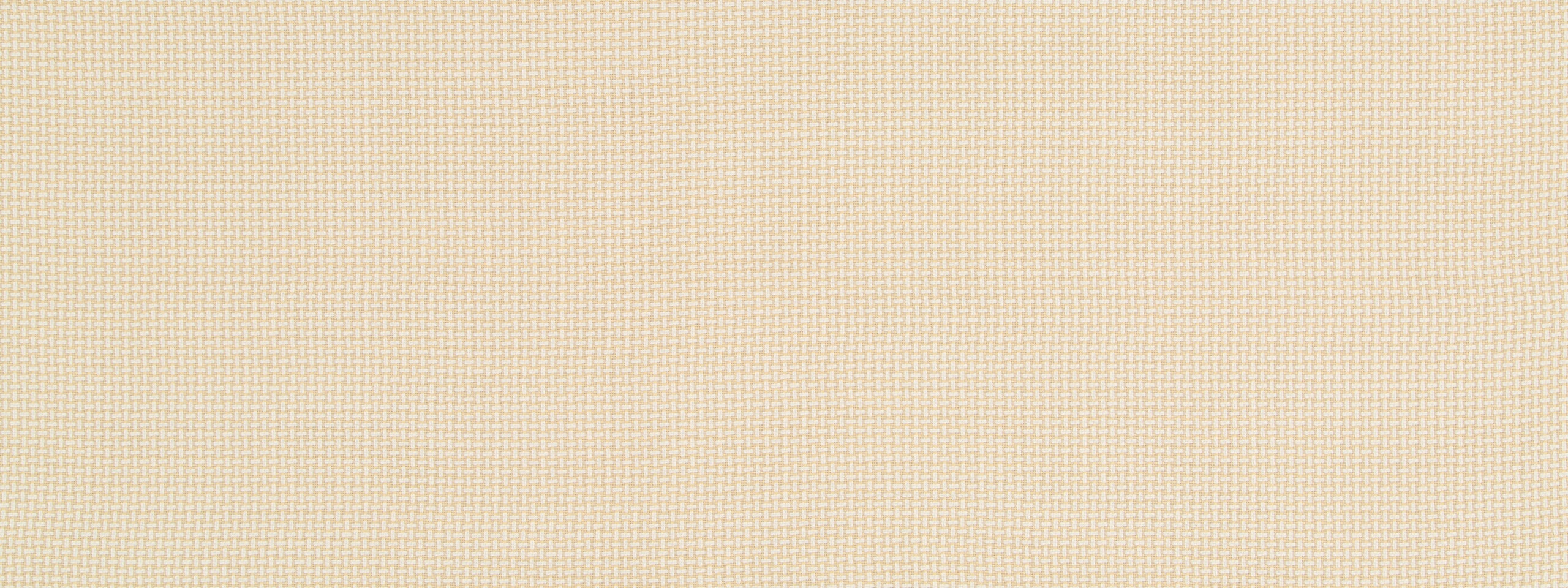 PETITE WEAVE | BRASS