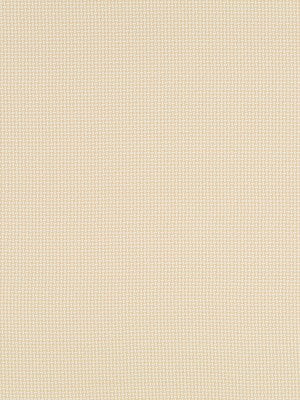 PETITE WEAVE | BRASS