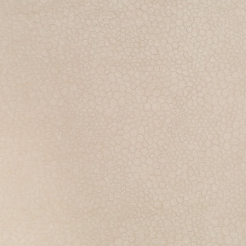 BUBBLE PLAY | TEA