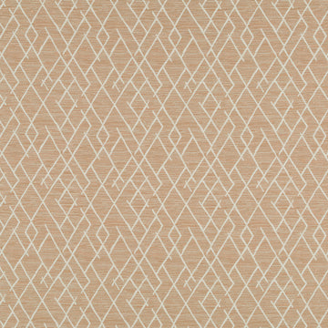BROKEN TRELLIS | TEA