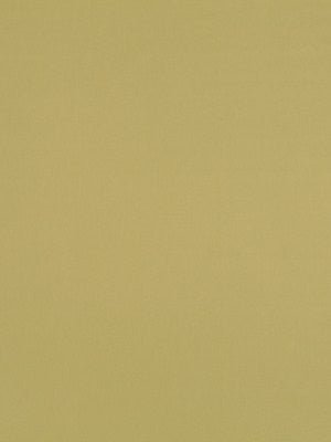 STELLAR SOLID | IVY - Multi-purpose