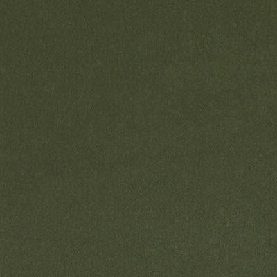 15725 | 184-FOREST - Upholstery - Fabric