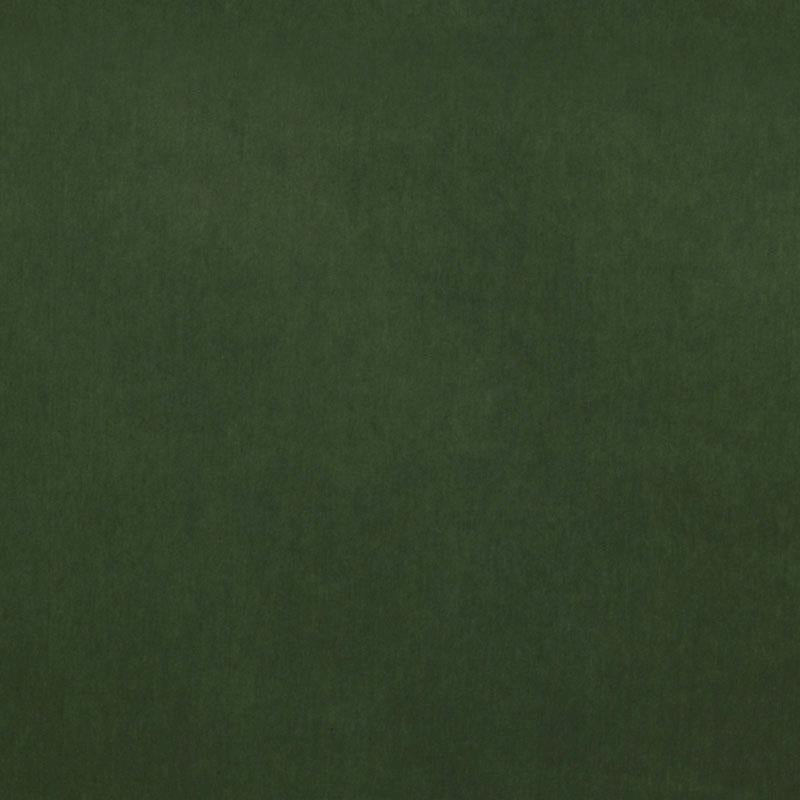 15644 | 323-EVERGREEN - Upholstery - Fabric