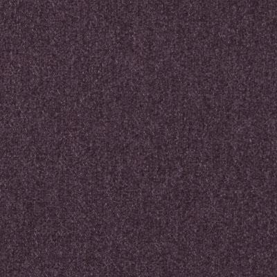 DN15887 | 119-GRAPE