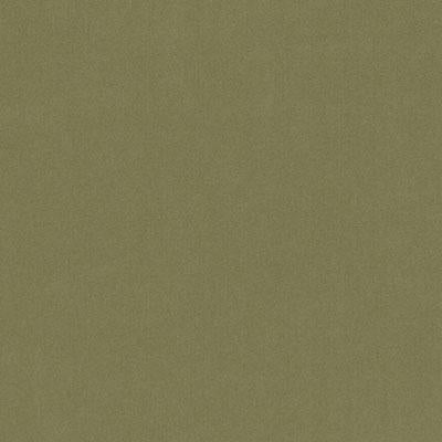 15726 | 303-FERN - Upholstery - Fabric
