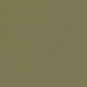 15726 | 303-FERN - Upholstery - Fabric