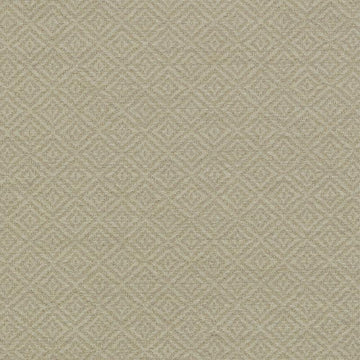 15738 | 160-MUSHROOM - Upholstery - Fabric