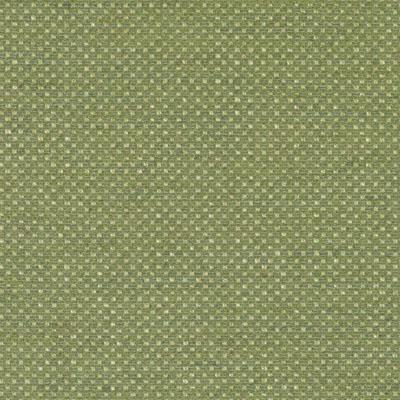 BU15829 | 399-PISTACHIO - Upholstery - Fabric