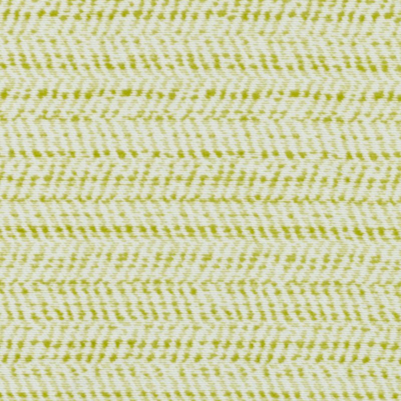 15638 | 343-CACTUS