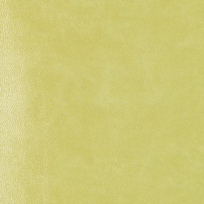 DF16135 | 212-APPLE GREEN - Upholstery - Fabric