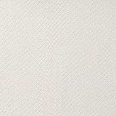15520 | 18-WHITE - Upholstery - Fabric