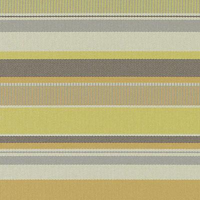 DN15990 | 268-CANARY