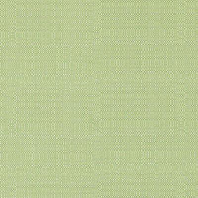DW16052 | 399-PISTACHIO - Upholstery - Fabric