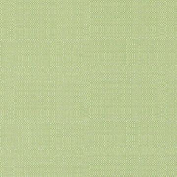 DW16052 | 399-PISTACHIO - Upholstery - Fabric