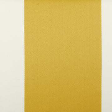 15429 | 268-CANARY