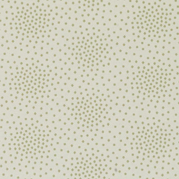 DN15992 | 212-APPLE GREEN