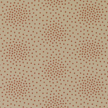 DN15992 | 31-CORAL
