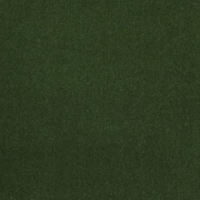 DV15921 | 323-EVERGREEN