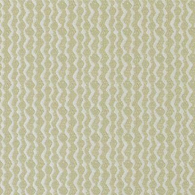 DW16055 | 343-CACTUS - Upholstery - Fabric