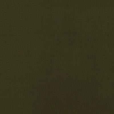 15645 | 252-DARK GREEN - Upholstery - Fabric