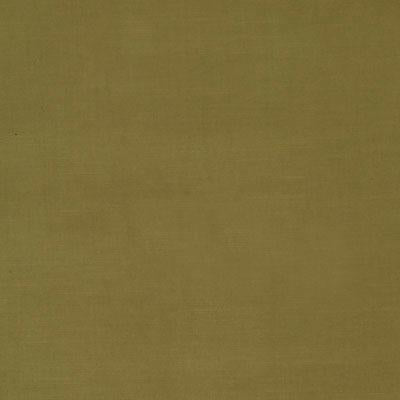 15645 | 354-BASIL - Upholstery - Fabric