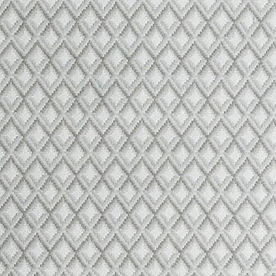 DW15933 | 562-PLATINUM - Upholstery - Fabric