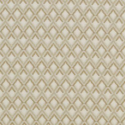 DW15933 | 564-BAMBOO - Upholstery - Fabric