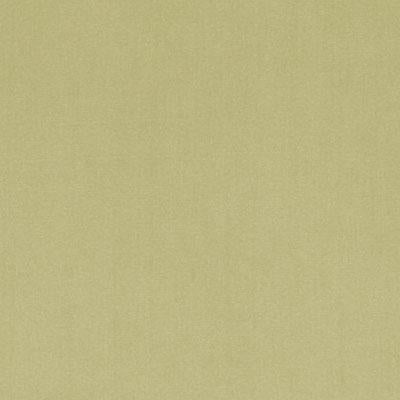 DV15862 | 257-MOSS - Upholstery - Fabric