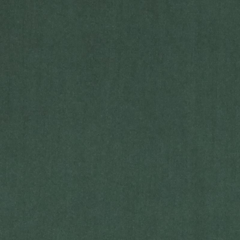 DV15862 | 341-IVY