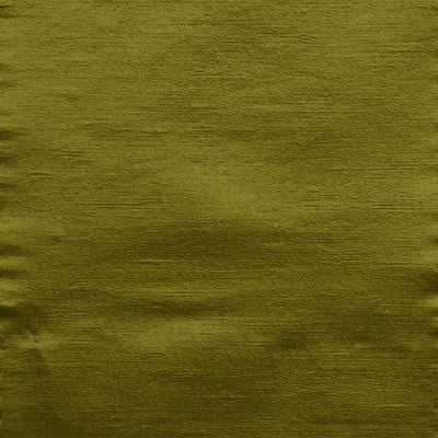 190187H | 343-CACTUS