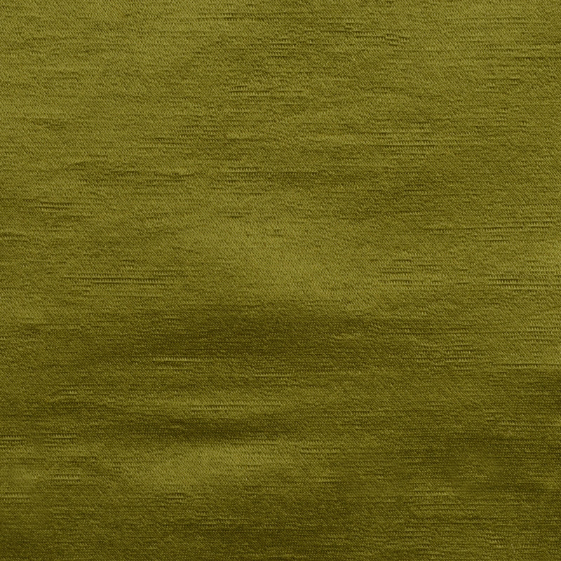 190187H | 343-CACTUS
