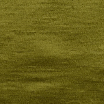 190187H | 343-CACTUS