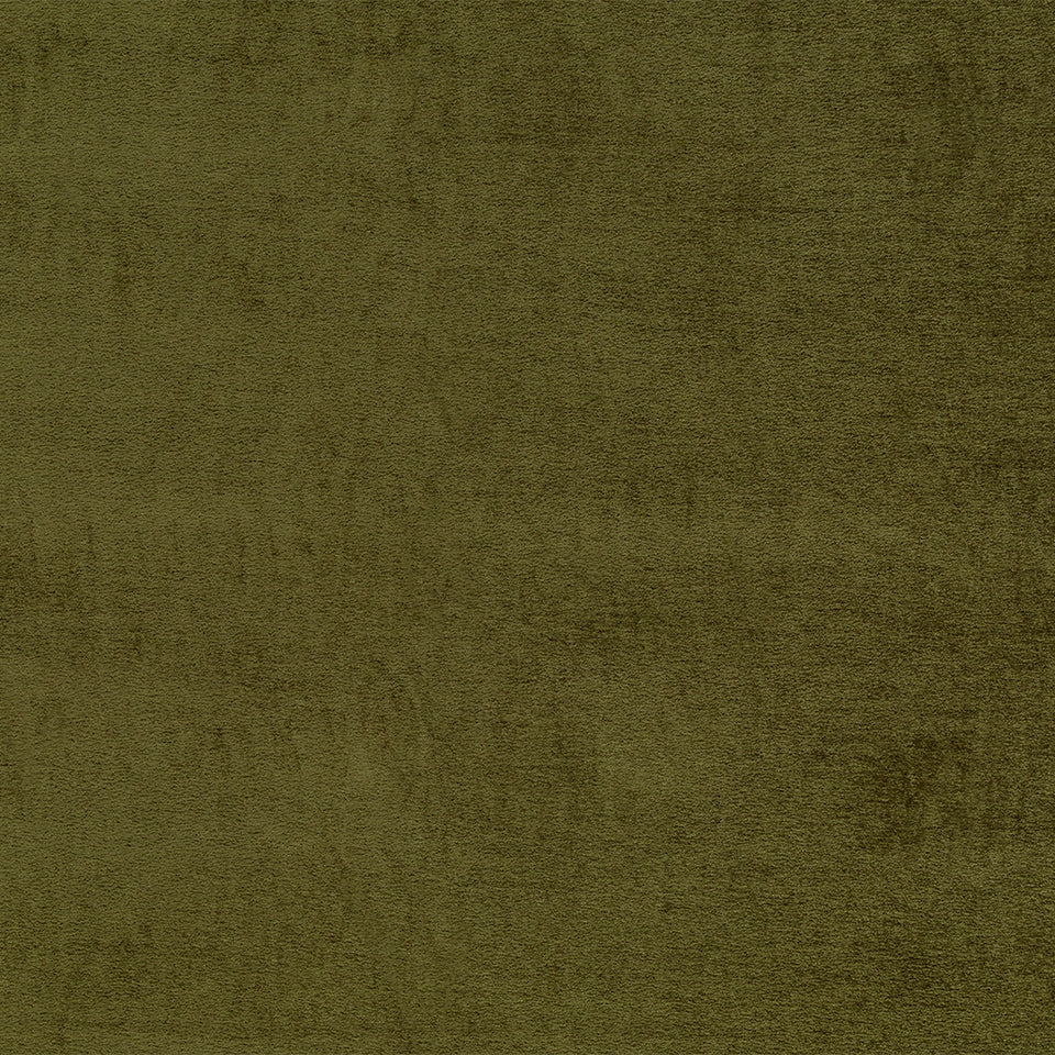 190128H | 22-OLIVE