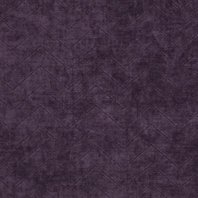 190221H | 95-PLUM
