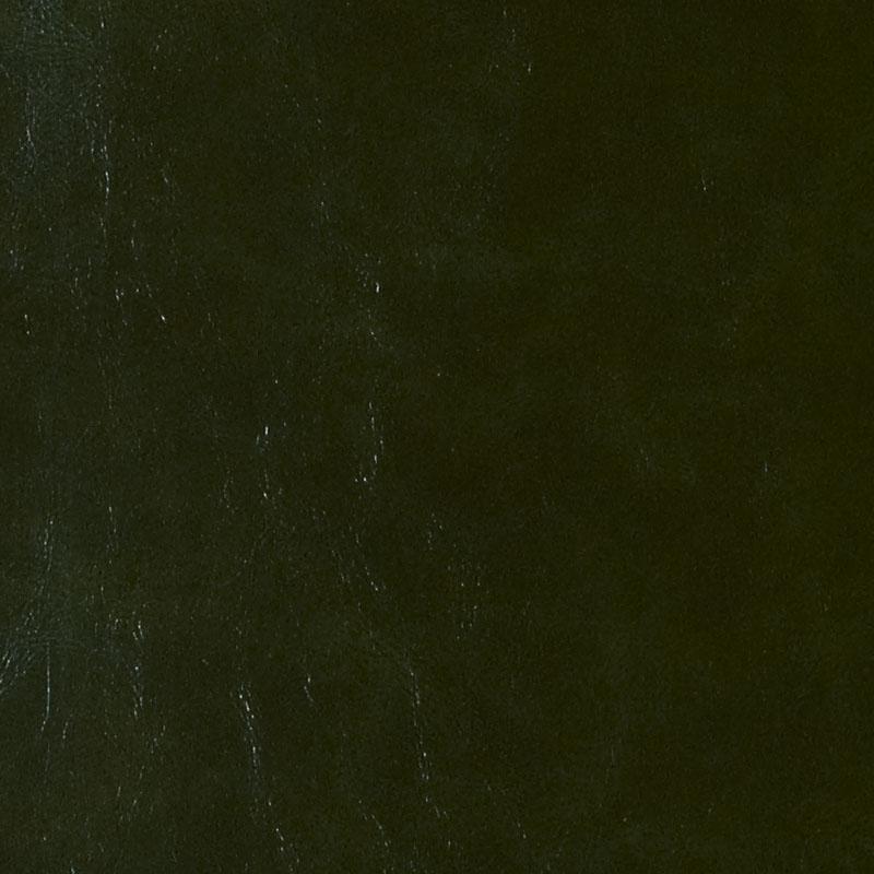 DF16136 | 323-EVERGREEN
