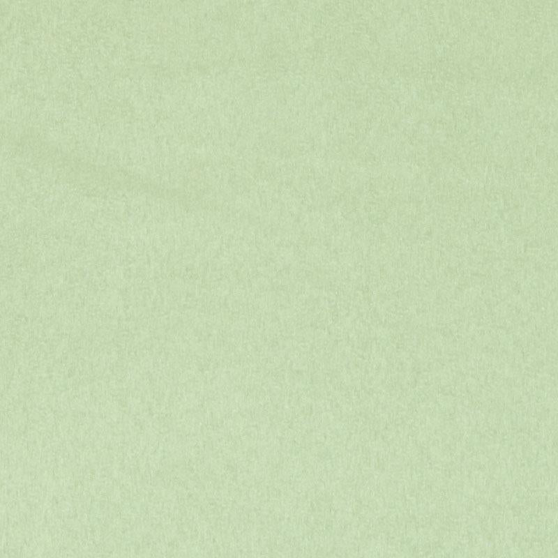 DF16038 | 243-HONEY DEW - Upholstery - Fabric