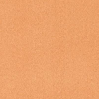 DF16038 | 451-PAPAYA - Upholstery - Fabric