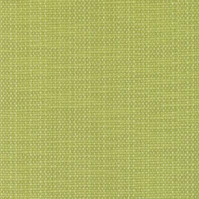 DW16172 | 213-LIME - Upholstery - Fabric